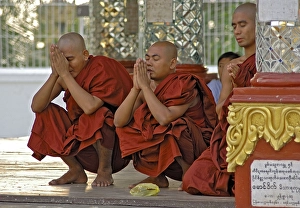 Category Buddhism Prints: Monks at Shwedagonpagoda, Yangoon