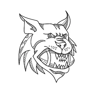 Mono line illustration of a head of a Canada lynx