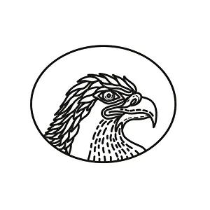 Mono line illustration of head of a sea eagle