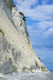 Mons Klint, the chalk cliffs of Mon