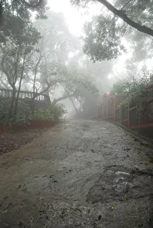 Category Historic EN Prints: Monsoon in Mahabaleshwar Mahabaleshwar