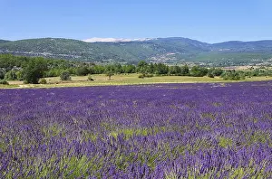 Mont Ventoux 25