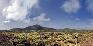 Category Mountain Landscapes Prints: Montana Ortiz, lichen, lava, Mancha Blanca