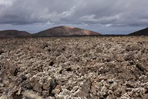 Montana Ortiz volcano, lava field with lichens