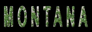 Montana Reforestation and Climate Message