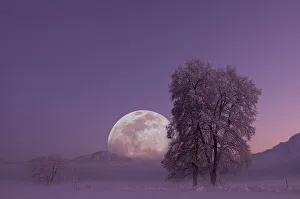 Full moon with landscape in winter