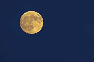 Moon, Full Moon, Supermoon, North Rhine-Westphalia