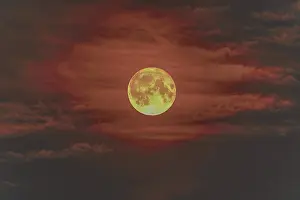 Full moon, supermoon, blood moon behind clouds