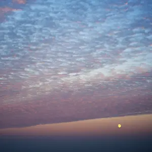Moonrise