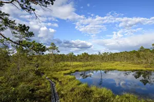 A moor lake with clear sky, clouds and wooden plank path in Hammarmoosen moor