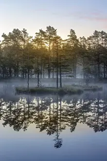 Moor landscape with lake at daybreak