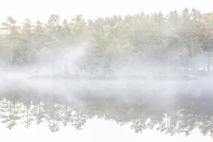 Moor landscape with lake in morning mist