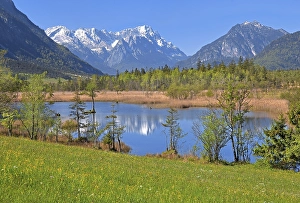 Moor landscape near the Seven Springs towards the Zugspitze massif in the Wetterstein range