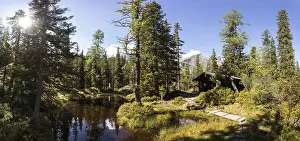 Category Mountain Landscapes Prints: Moor pond on the nature adventure trail through the Rauris primeval forest