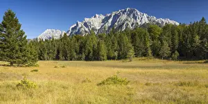 Framed Print : Moorland near Lautersee, near Mittenwald