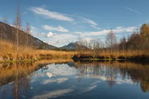 Moorsee, dragonfly pond in autumn