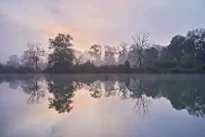 Morning atmosphere at the shallow lake with trees reflected in the water