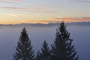 Morning atmosphere, WeiBe Wand above Pupplinger Au