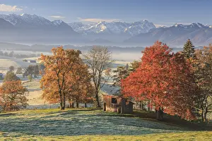 Morning fog, autumn colours, mountains