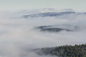 Morning fog in Engerdalsfjellet