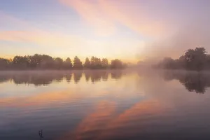 Morning fog at the Grutschenteich in the Nassau