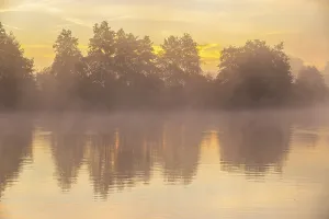 Morning fog at the Grutschenteich in the Nassau
