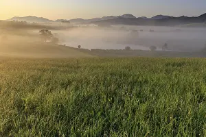 Morning fog with meadow and mountains