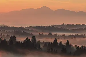 Morning fog over trees, mountains