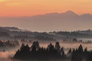 Morning fog over trees, mountains