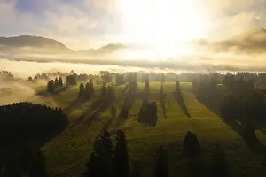 Morning light breaks through fog in picturesque grassy landscape with mountains in the background