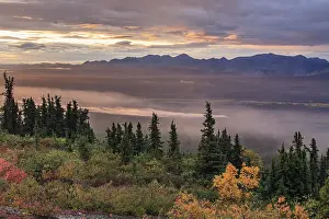 Morning light, cloudy mood, fog