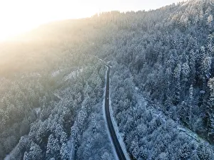 Morning light falls on a winding road in the winter forest from a bird's eye view
