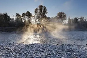 Morning mist, Isar river, Isar floodplains