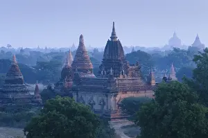 Morning mood over the pagoda field