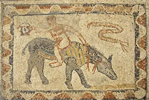 Mosaic man rides a donkey backward archaeological excavation of antique Roman city Volubilis Morocco