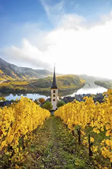 The Moselle Loop, a beautiful river makes a 180-degree loop