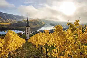 The Moselle Loop, a beautiful river makes a 180-degree loop