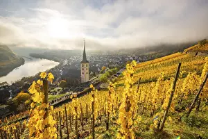 The Moselle Loop, a beautiful river makes a 180-degree loop