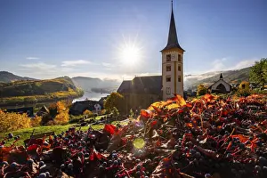 The Moselle Loop, a beautiful river makes a 180-degree loop