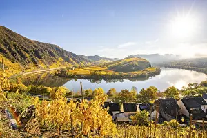 The Moselle Loop, a beautiful river makes a 180-degree loop