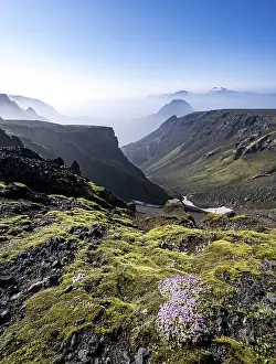 Moss in bloom, view of gorge and mountain peaks between valley covered with mist