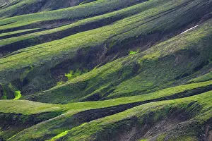 Moss-covered mountains, detail