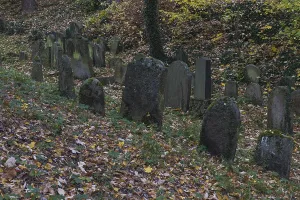 Moss covered tombstones on the old jewish cemetery in Chodova Plana