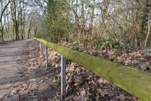 Moss-covered wooden railing bordering a tranquil path winding through a serene forest