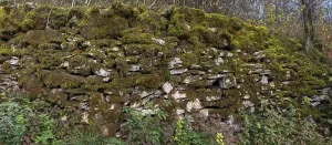 Mossy dry stone wall, Egloffstein