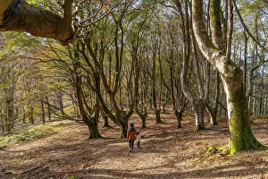 Mother and child are walking together on a path covered with fallen leaves through a beautiful autumn forest