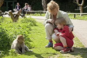 Mother and son watching a Barbary macaque (Macaca sylvanus)