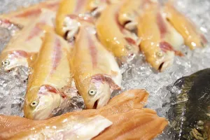 Motif with chilled fish in the refrigerated counter, Fish International Bremen trade fair, Bremen, Germany, Europe