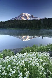 Mount Rainier reflected in a lake