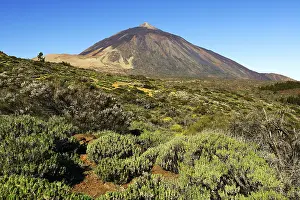 Mount Teide volcano, Teide National Park